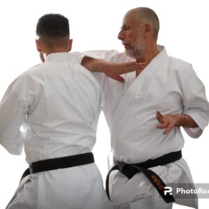 Karategi Budokan Elite Mediano