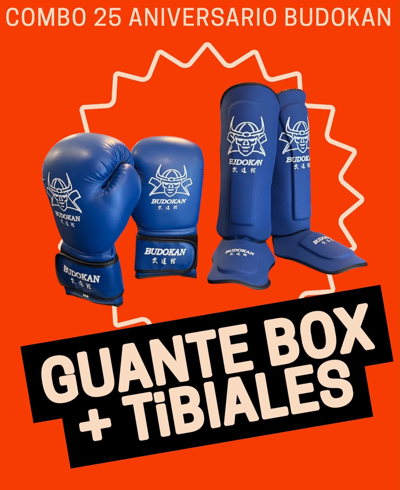 COMBO - Guantes+Tibiales Budokan Importados